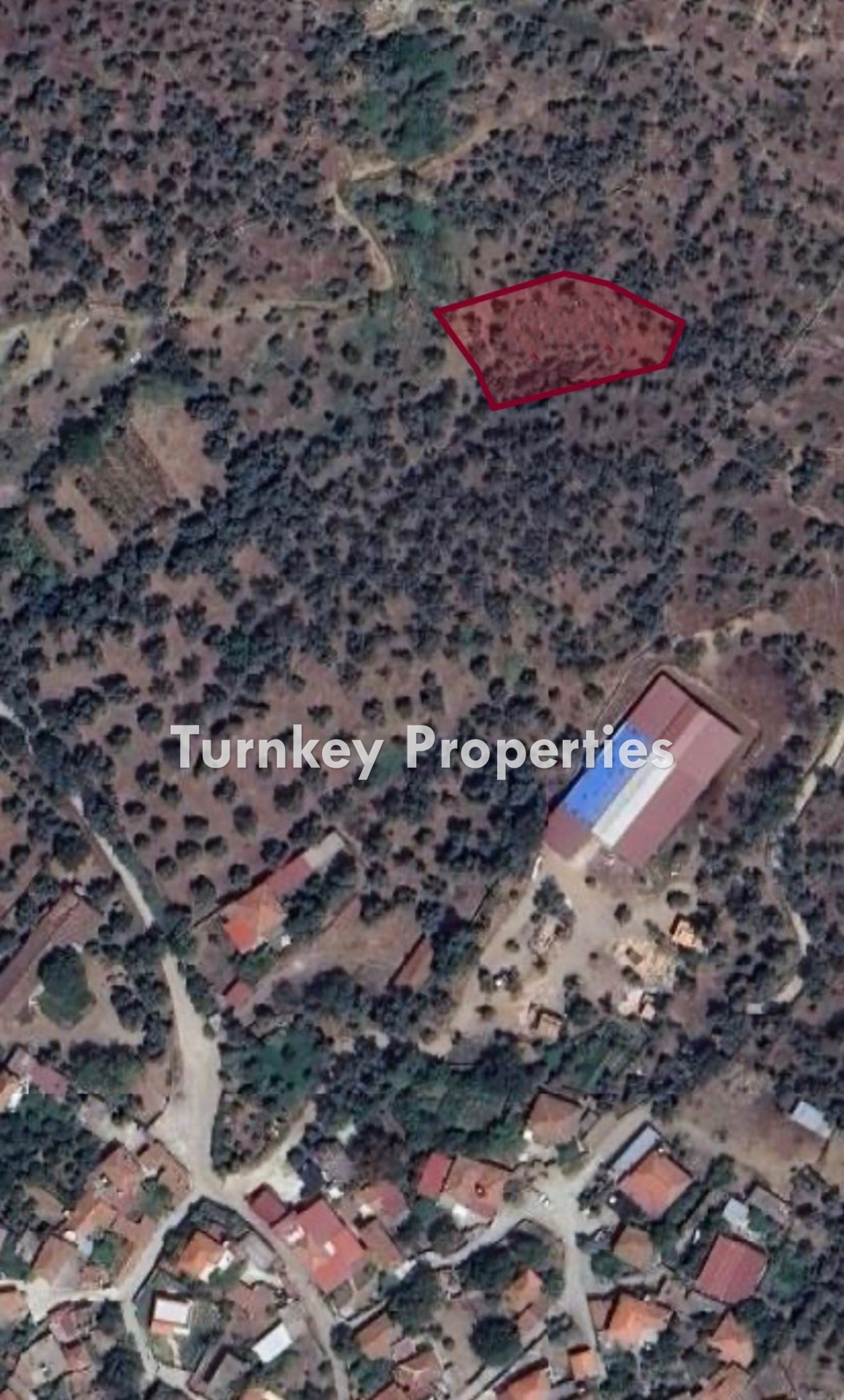 Turnkey Property Bodrum