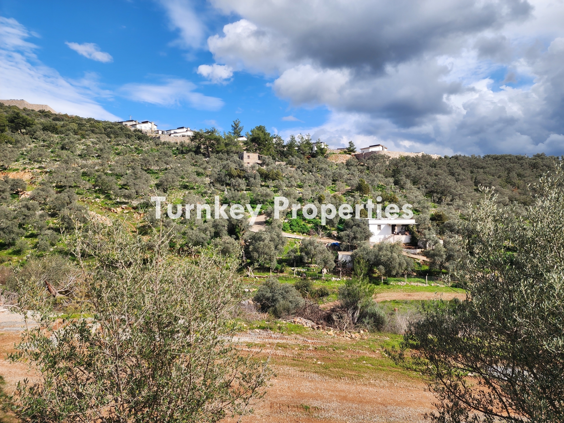 Turnkey Property Bodrum