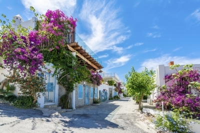 Bodrum’da Villa Sahibi Olmak! Rüya mı, Gerçek mi?