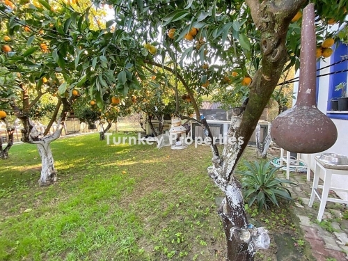 Bodrum, Gündoğan Satılık Arsa ve Ev | Doğayla İç İçe Hobi Bahçesi ve Yatırım Fırsatı