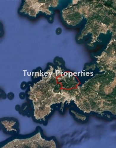 Fig Orchard for Sale in Bodrum Gol Mahallesi, 5,300 m² Land